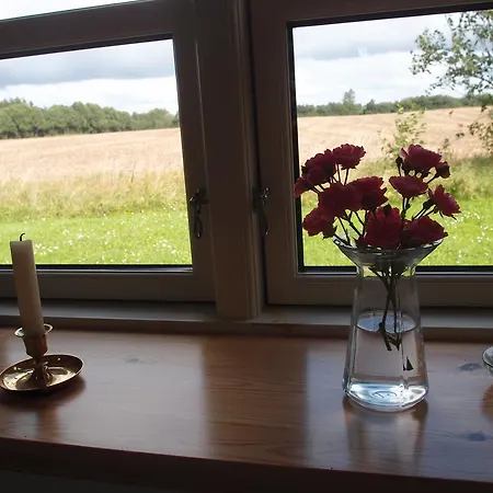 Bjaeldskovgaard House *